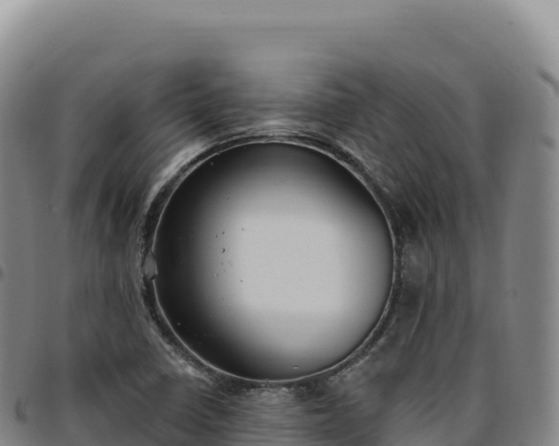 X0000096491410200801311608