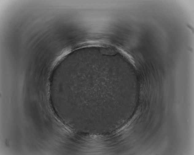 X0000096491411200801311608