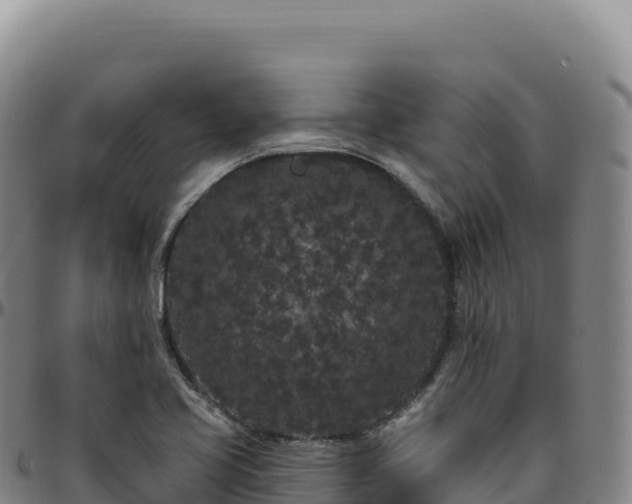 X0000096491413200801311608