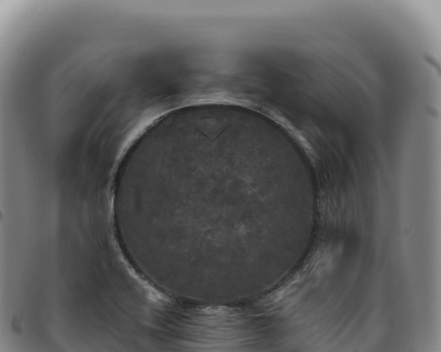 X0000096491416200801311608