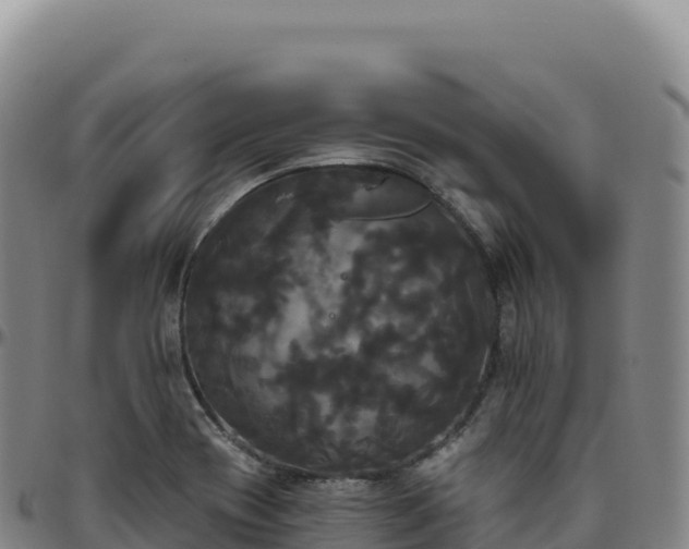 X0000096491417200801311608