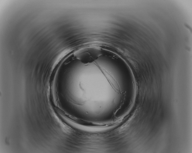 X0000096491418200801311608