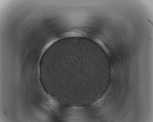 X0000096491419200801311608