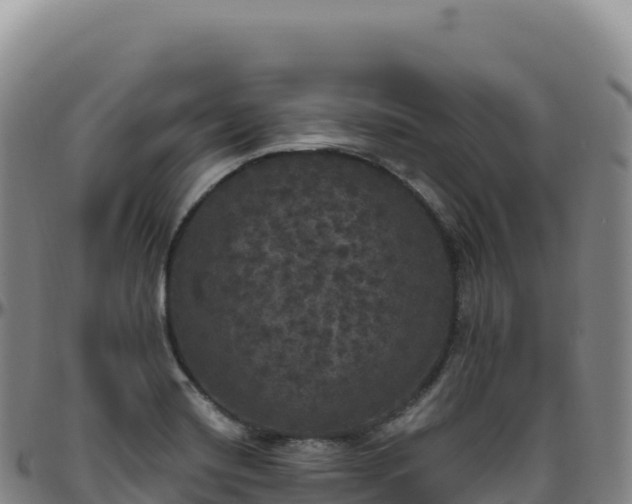 X0000096491420200801311608