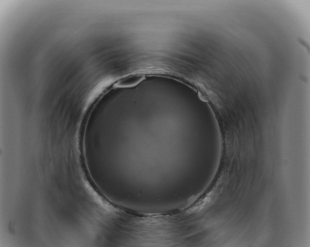 X0000096491422200801311608