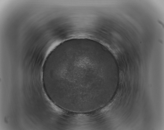 X0000096491424200801311608