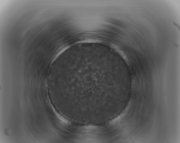 X0000096491425200801311608