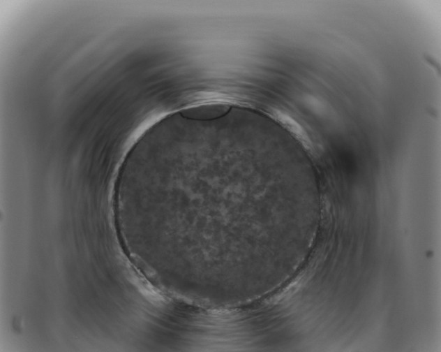 X0000096491427200801311608