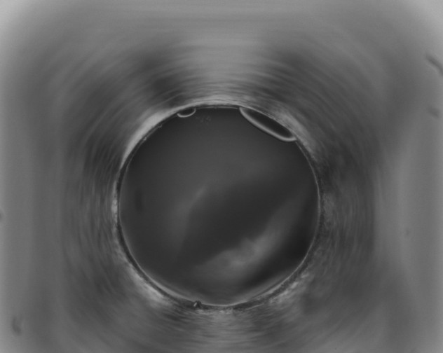 X0000096491428200801311608