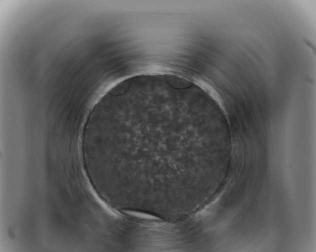 X0000096491429200801311608