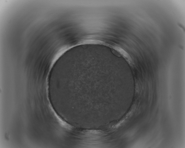 X0000096491430200801311608