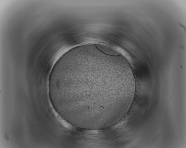 X0000096491431200801311608