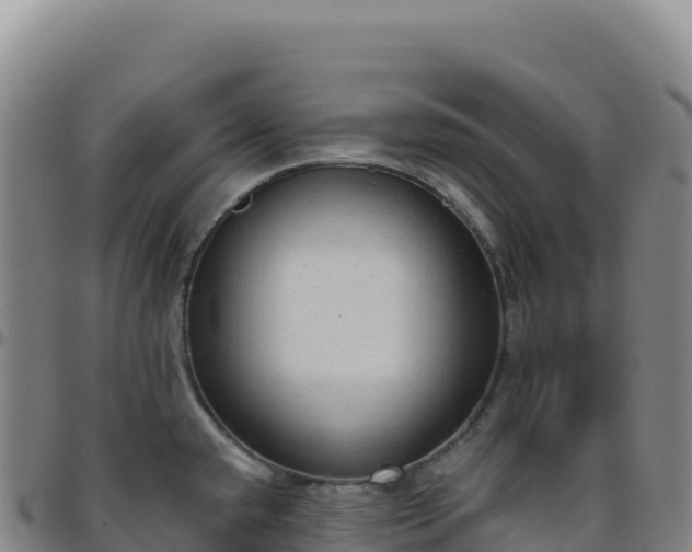 X0000096491432200801311608