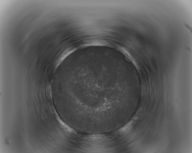 X0000096491433200801311608