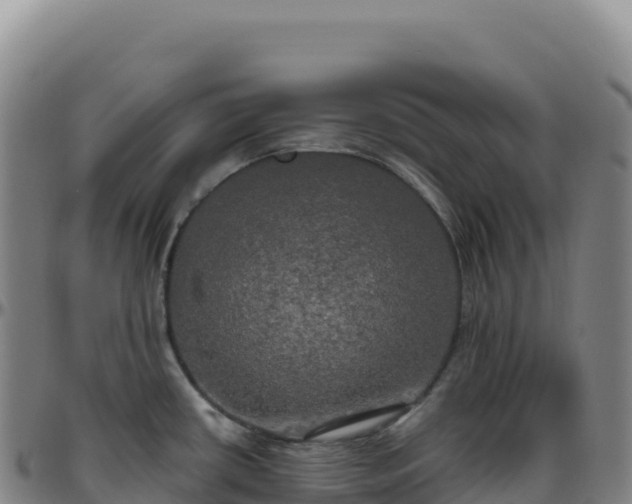 X0000096491434200801311608