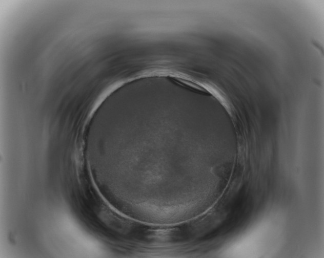 X0000096491438200801311608