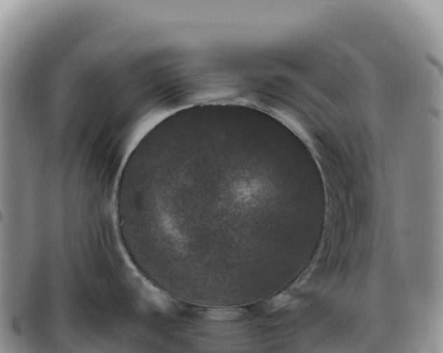 X0000096491440200801311608