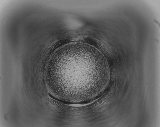 X0000096491441200801311608