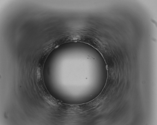 X0000096491442200801311608