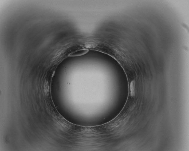 X0000096491443200801311608