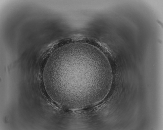 X0000096491445200801311608