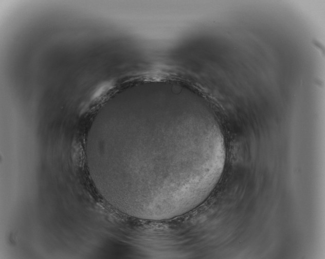 X0000096491446200801311608