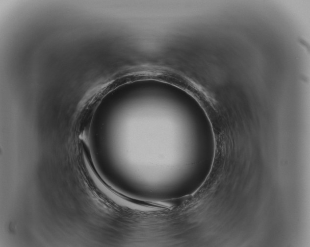 X0000096491448200801311608