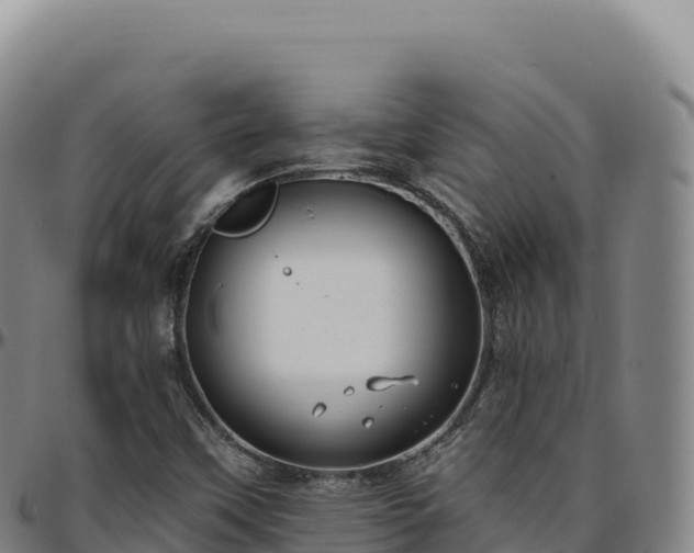 X0000096491451200801311607