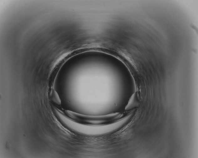 X0000096491452200801311607