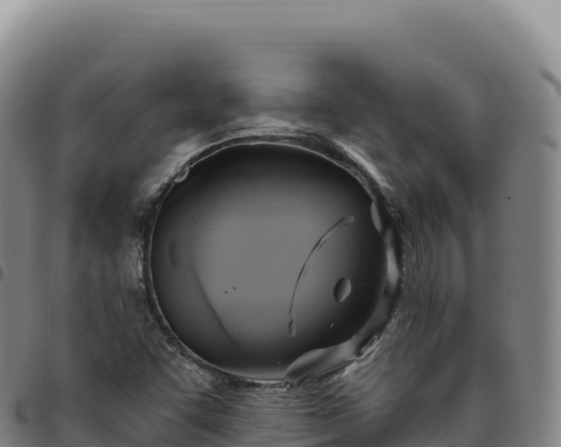 X0000096491455200801311607