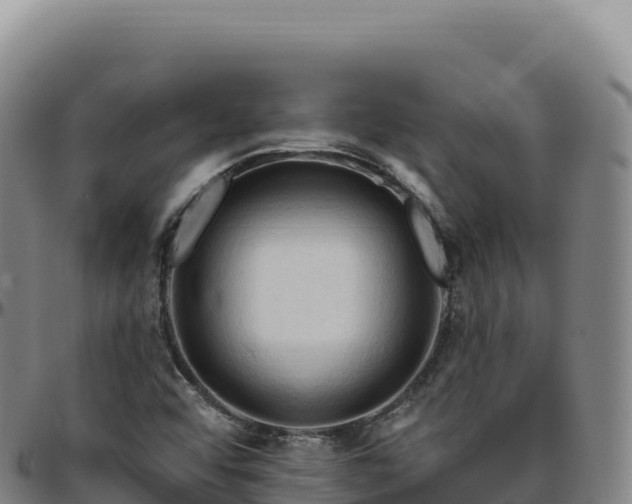 X0000096491456200801311607