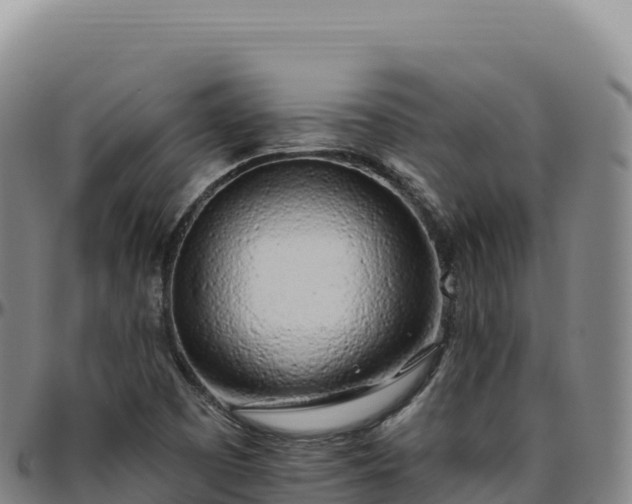 X0000096491457200801311607