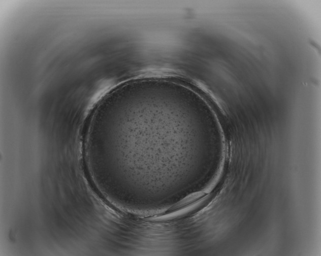 X0000096491459200801311607