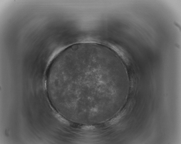 X0000096491462200801311607