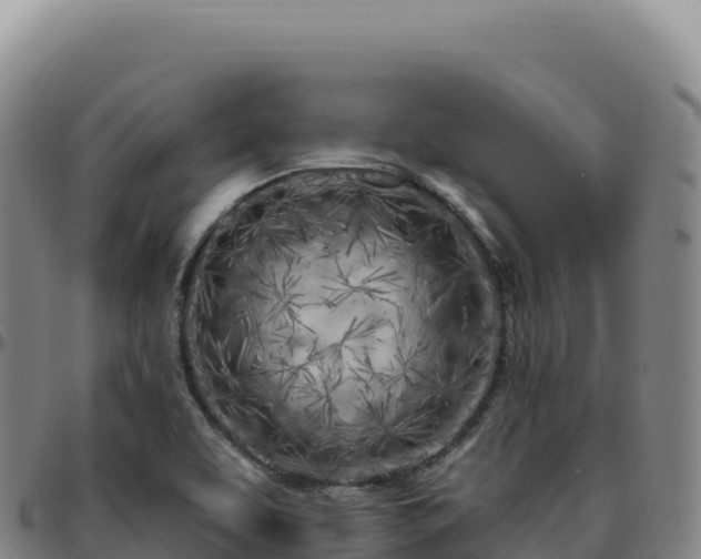 X0000096491463200801311607