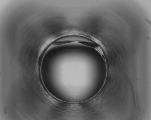 X0000096491464200801311607