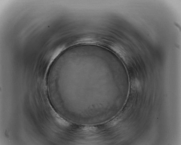 X0000096491466200801311607