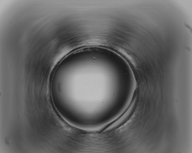 X0000096491469200801311607