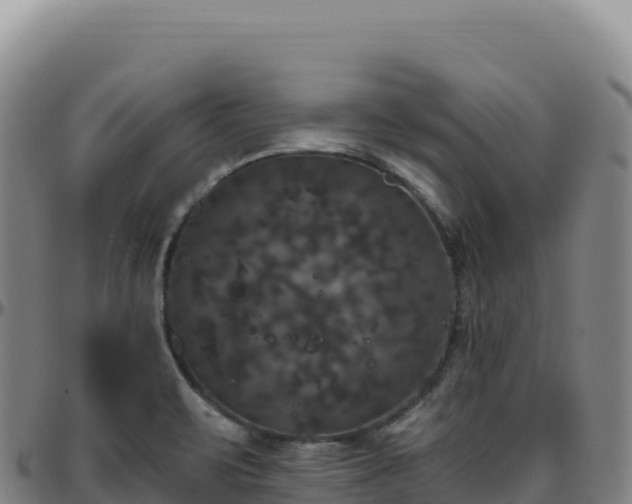 X0000096491471200801311607