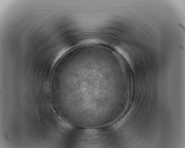 X0000096491473200801311607