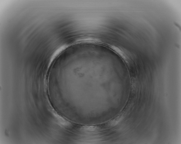 X0000096491474200801311607