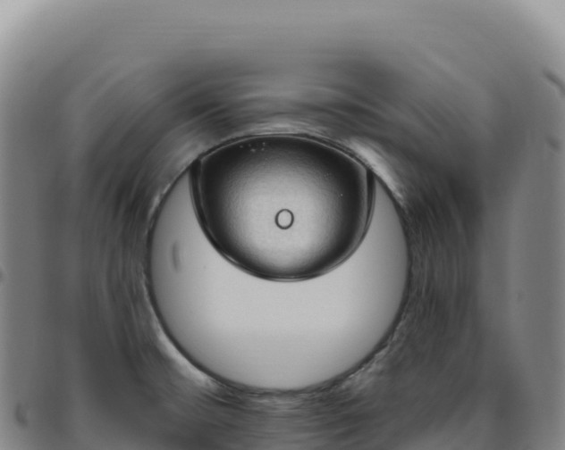 X0000096491476200801311607