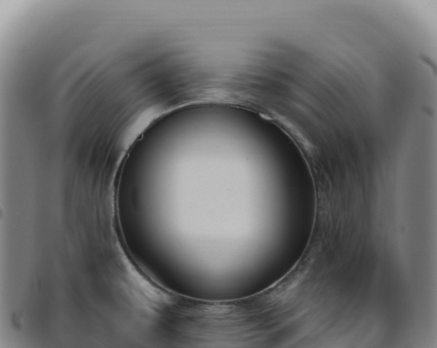 X0000096491479200801311607