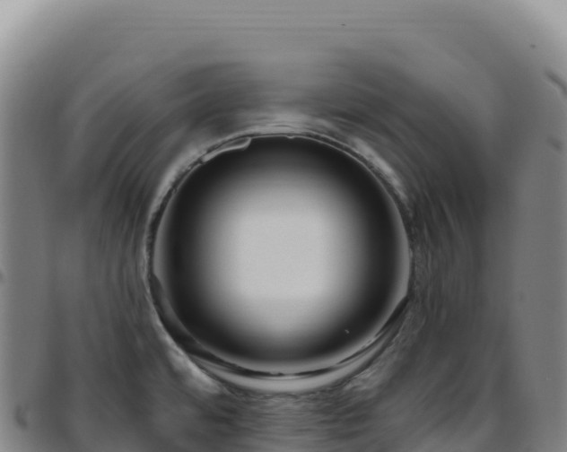 X0000096491480200801311607