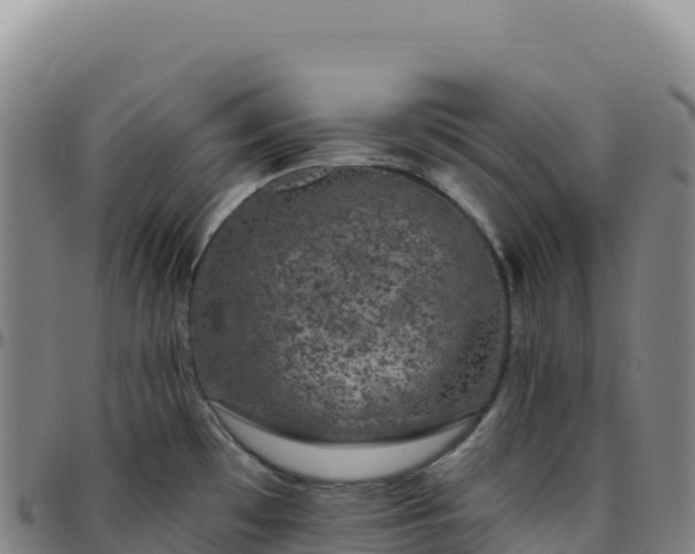 X0000096491481200801311607