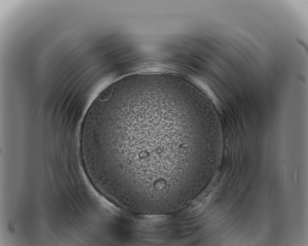 X0000096491483200801311607