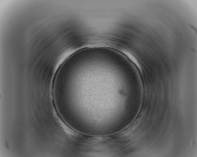 X0000096491485200801311607