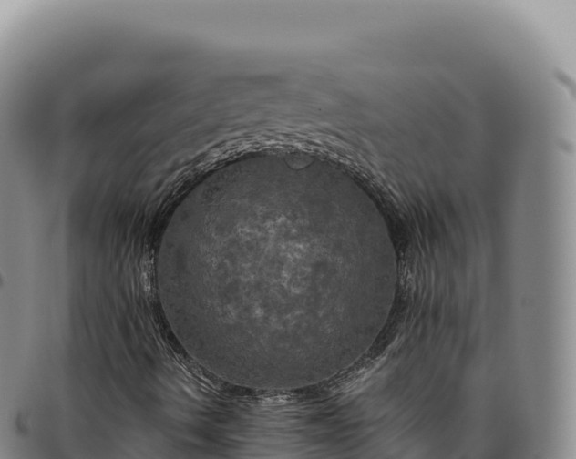 X0000096491490200801311606