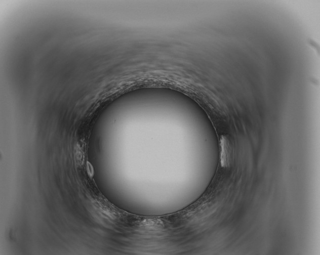 X0000096491491200801311606