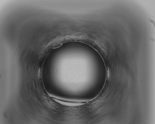 X0000096491492200801311606